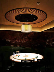 7515 the SKY LED focus lighting fixture for art gallery,salon lighting