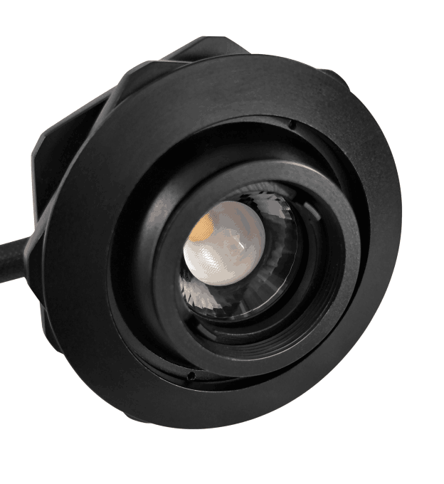 Showcase focus lights cheap