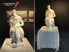 9055 Middle David LED track focus spotlight for lighting to highlight the works of art, sculpture and furniture