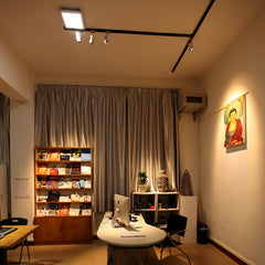 A020 Waterdrop LED track focus spotlight for Art Gallery lighting