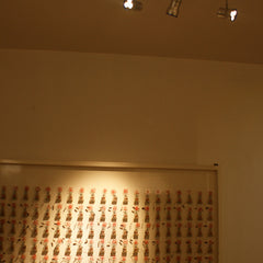 A020 Waterdrop LED track focus spotlight for Art Gallery lighting
